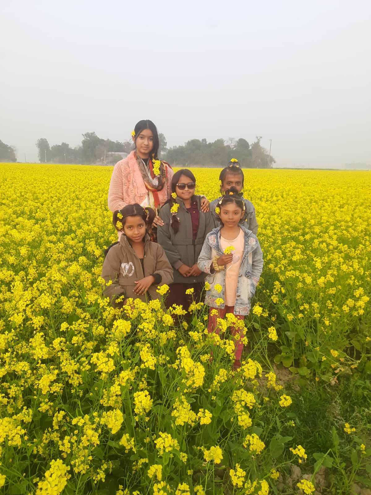 সরিষা ফুলের সৌন্দের্যের মাঝে শিশুরা।
