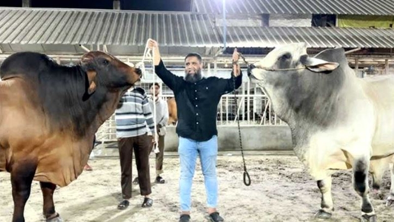 সাদিক অ্যাগ্রোর ইমরান গ্রেপ্তার