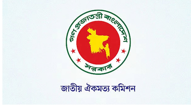 ঐকমত্য কমিশন, আজ মতামত দেবে বিএনপি
