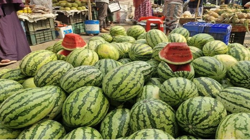 সিজনের আগেই বাজারে তরমুজ