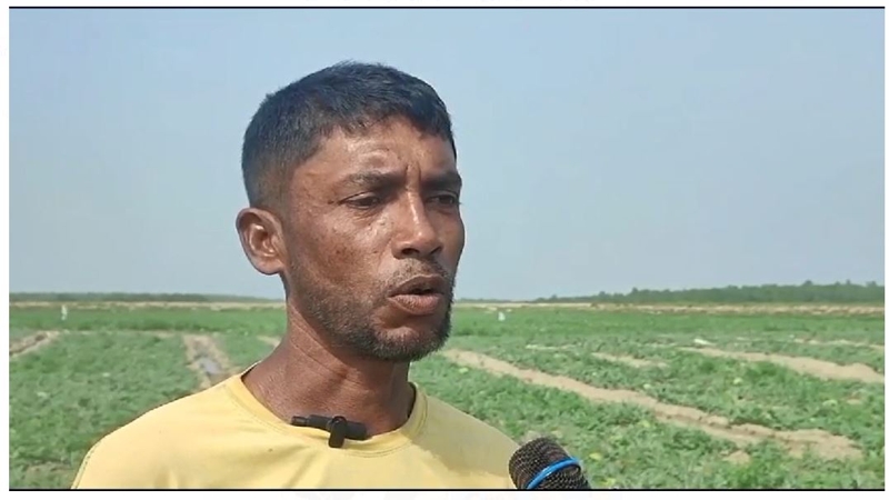 রাঙ্গাবালীতে তরমুজের বাম্পার ফলনে কৃষকের মুখে হাসি