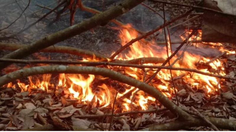 পূর্ব সুন্দরবনে আগুন