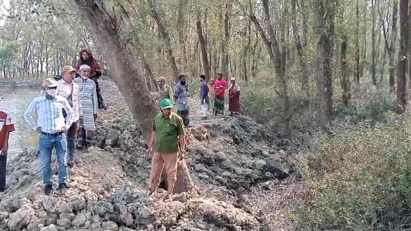 গাছ কাটার সত্যতা পেয়েছে তদন্ত কমিটি