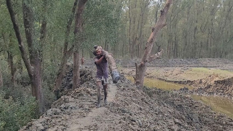 রাক্ষুসে থাবায় ধ্বংস হচ্ছে বনের পরিধি, বাড়ছে ঘের