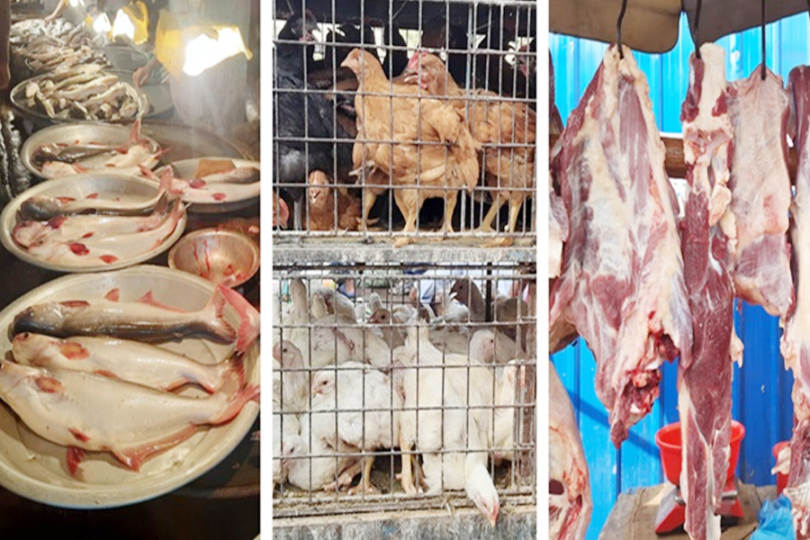 রমজানে মাছের দাম বেশি, ব্রয়লার কম ও গরুর মাংস স্থিতিশীল