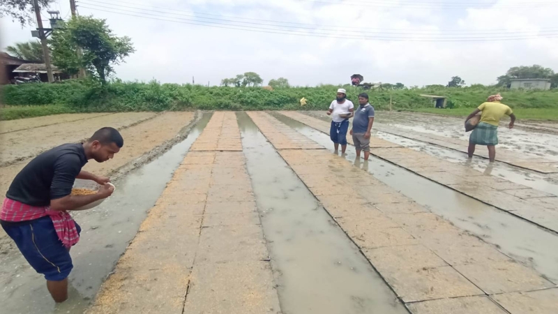 পবায় বাড়ছে কৃষি যন্ত্রপাতির ব্যবহার