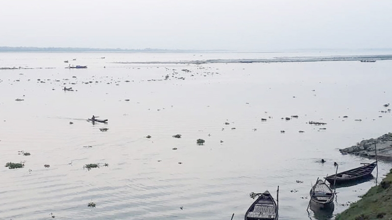 রাজশাহী বাঘায় পদ্মায় নতুন পানি, জেলেরা মাছ ধরতে ব্যস্ত