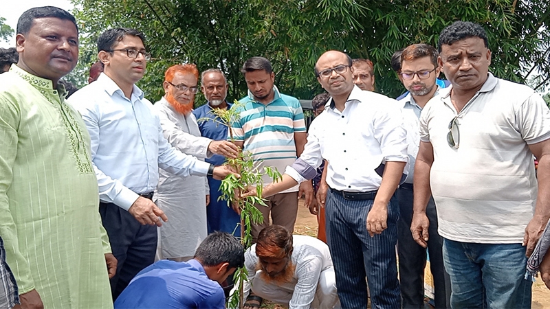 ৬৩ হাজার বৃক্ষরোপণ কর্মসূচির শুভ উদ্বোধন