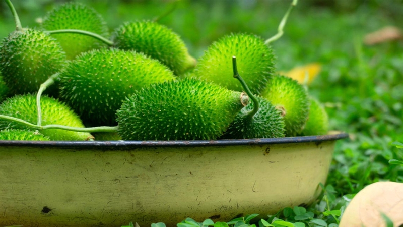 যে ৫ কারণে কাঁকরোল খাবেন