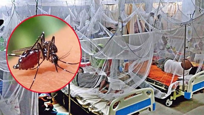 ডেঙ্গুতে দুই শিশুসহ ৪ জনের মৃত্যু