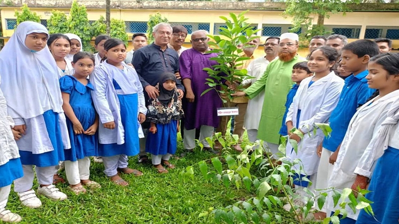 কুড়িগ্রামে কূষক দলের বৃক্ষরোপণ কর্মসূচি পালিত
