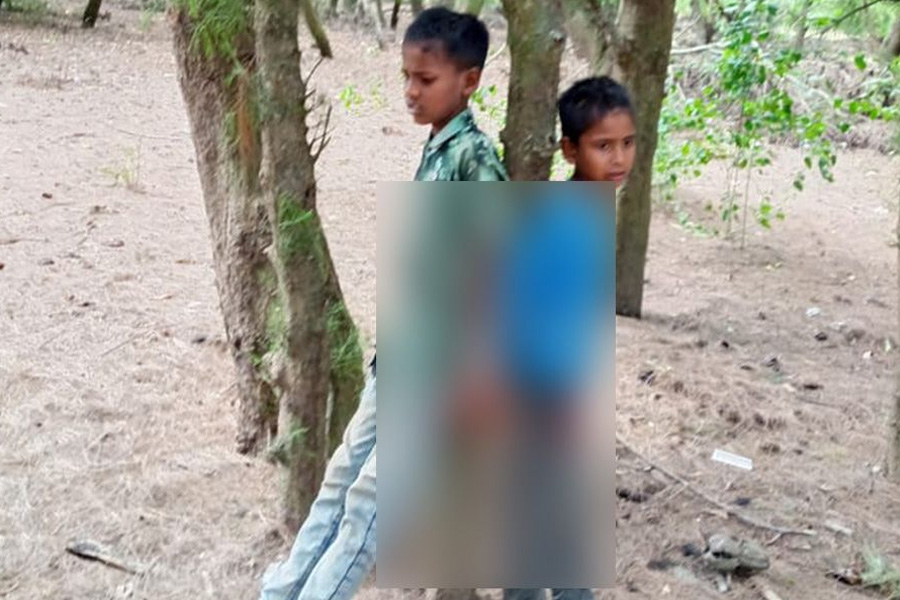 দুই শিশুকে গাছে বেঁধে নির্যাতনের অভিযোগ