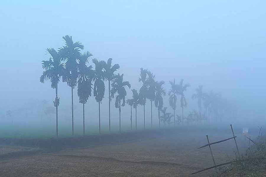 ১১ ডিগ্রিতে নেমে কাঁপছে তেঁতুলিয়া, শৈত্যপ্রবাহের শঙ্কা