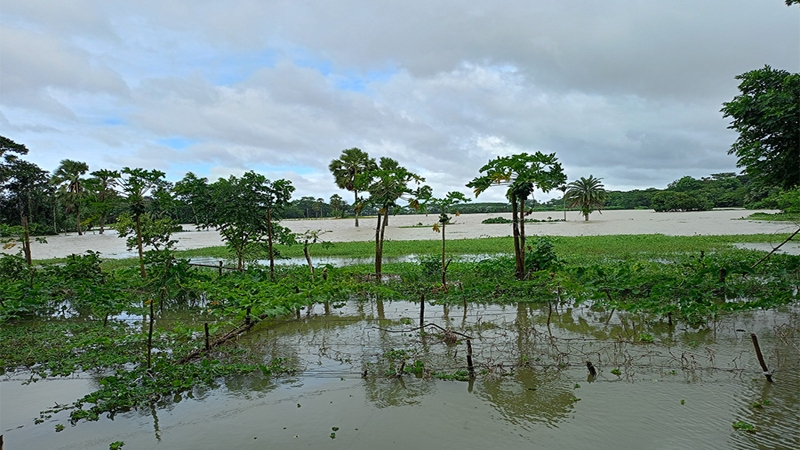 জোয়ারে দক্ষিণাঞ্চলের নদ-নদীর পানি বিপৎসীমার ওপরে