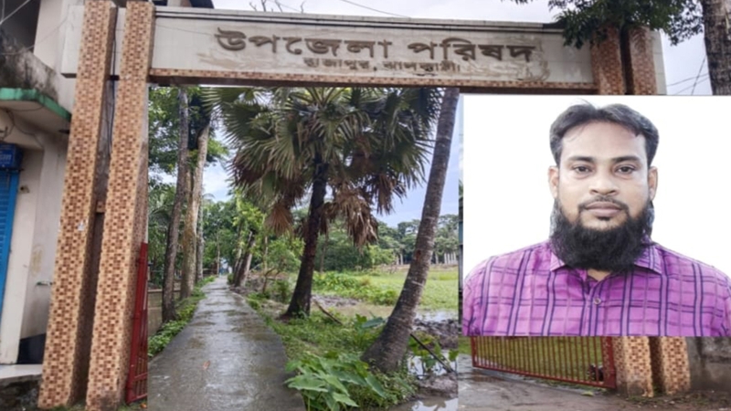 রাজাপুরে সরকারি গাছ বিক্রির অভিযোগ প্রকল্প কর্মকর্তার বিরুদ্ধে