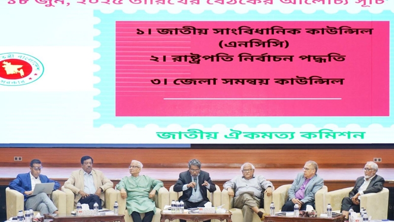 রাষ্ট্রপতি নির্বাচন প্রক্রিয়ার মীমাংসা হতে পারে আজ : আলী রীয়াজ