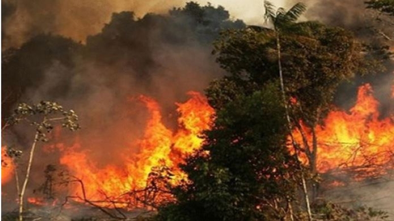 দাবানলে পুড়ছে ক্যালিফোর্নিয়া