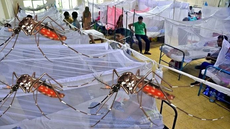 ডেঙ্গুতে আরও একজনের মৃত্যু