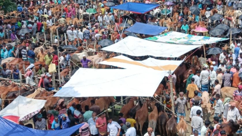 ঈদযাত্রা-পশুর হাট ঘিরে ডিএমপির ট্রাফিক নির্দেশনা