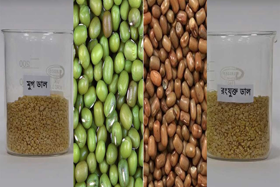 ‘মুগ’ ডালের নামে বিক্রি হচ্ছে রঙ মিশানো ‘মথ’ ডাল