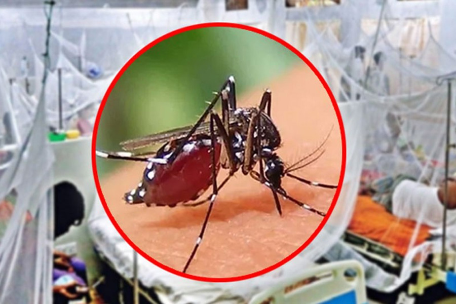 চট্টগ্রামে ডেঙ্গুর বহুমুখী সংক্রমণ, কো-সংক্রমণ বৃদ্ধি