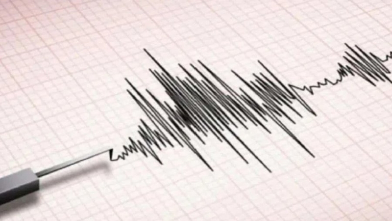 ৫.৪ মাত্রার ভূমিকম্পে কাঁপলো পাকিস্তান