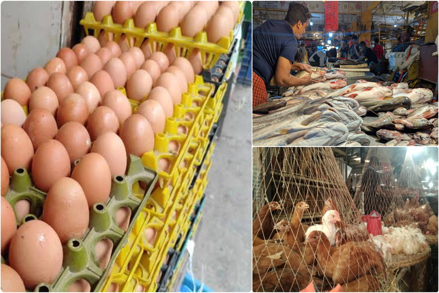 ডিমের দাম কমেছে, মাছ-মাংস ও মুরগির বাজার স্থিতিশীল