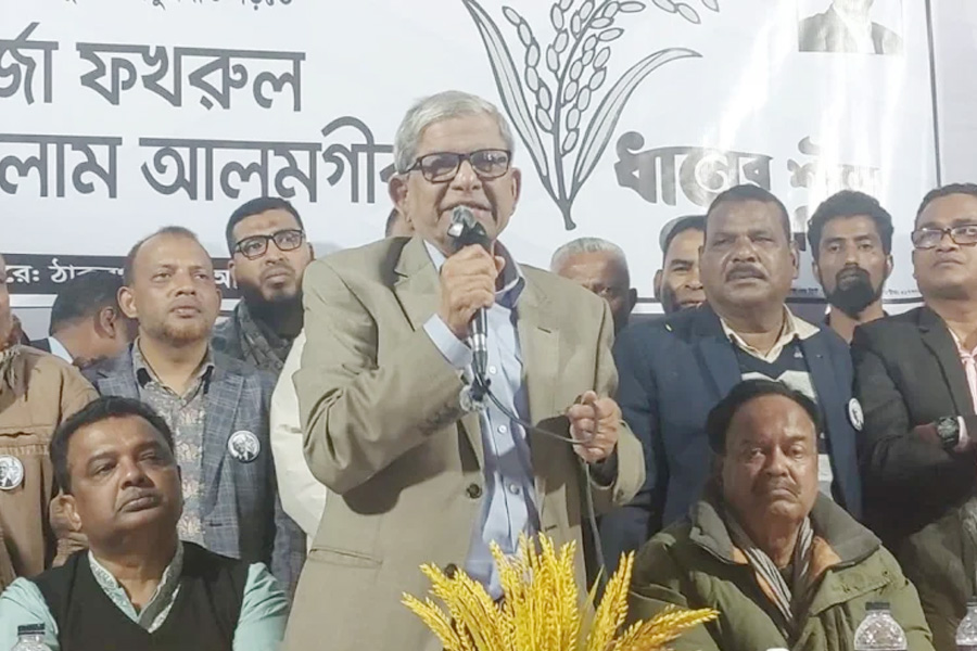 রাজনীতি থেকে অবসর নিতে চাই: মির্জা ফখরুল