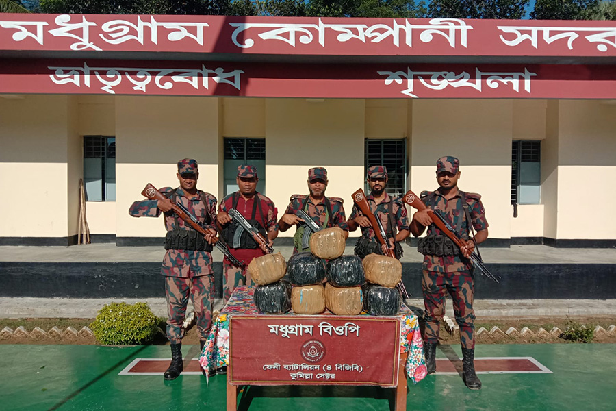 ফেনীতে বিজিবি অভিযানে বিপুল পরিমাণ ভারতীয় গাঁজা ও গরু জব্দ