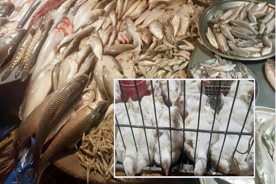 এক সপ্তাহে ব্রয়লার-মুরগি ও ইলিশের দাম ঊর্ধ্বগতি
