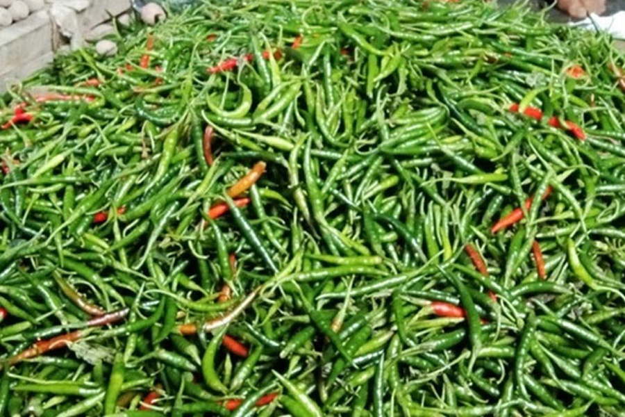 হিলি বন্দরে বেড়েছে কাঁচামরিচ আমদানি