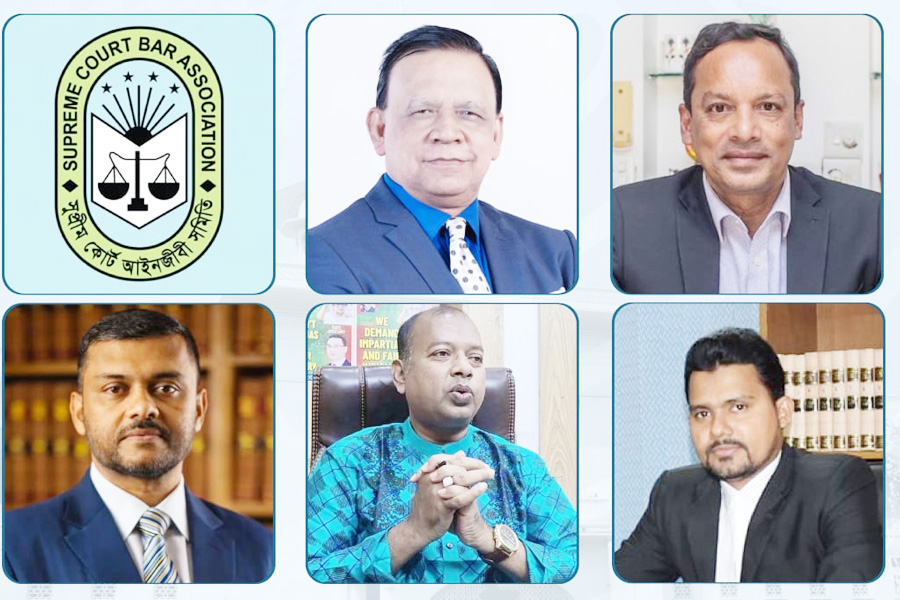 সরব আইনজীবীরা, নীরব এডহক কমিটি