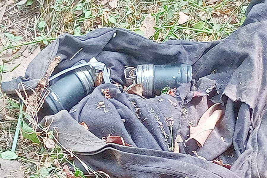 সুপ্রিম কোর্ট প্রাঙ্গণ থেকে উদ্ধার ৬ সাউন্ড গ্রেনেড