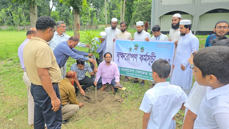 ইবিতে খেলাফত ছাত্র মজলিসের বৃক্ষরোপণ কর্মসূচি
