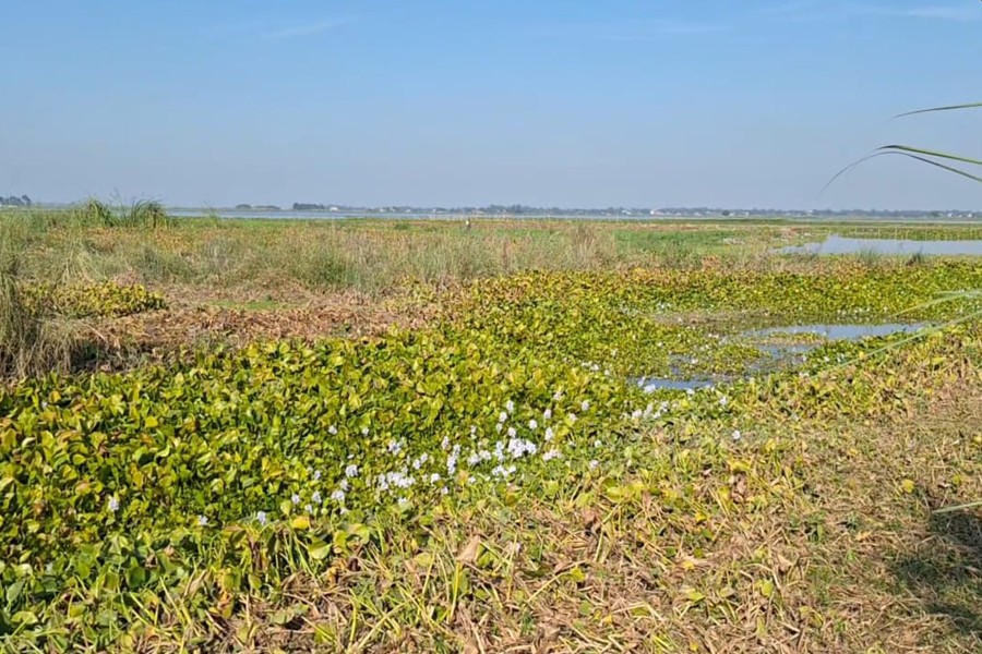 বিল ভরাটে পথে বসেছে অষ্টগ্রামের জেলেরা