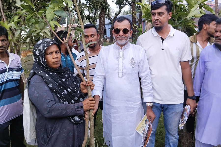 খোকসায় কৃষকদল নেতার উদ্যোগে গাছের চারা বিতরণ