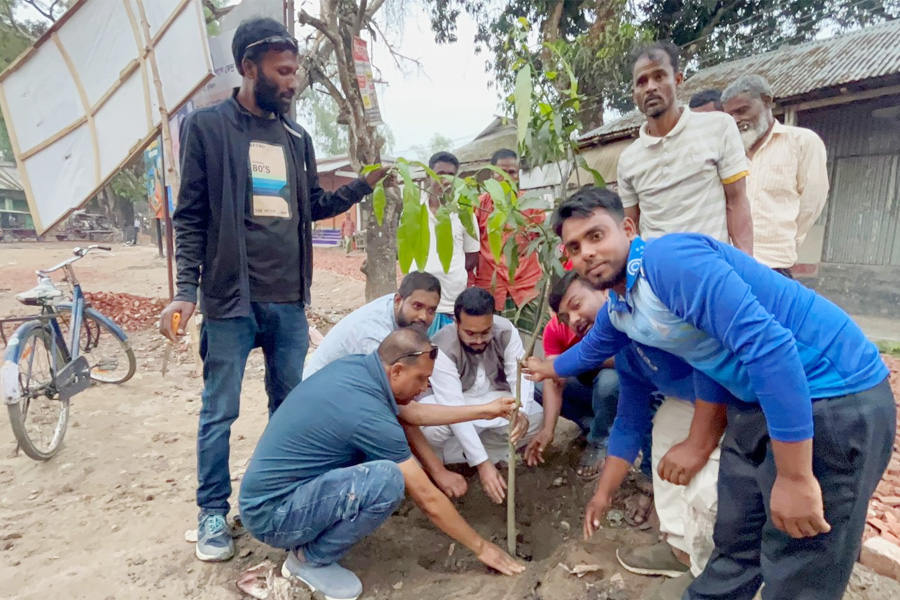তারেক রহমানের নির্দেশনায় দেশব্যাপী বৃক্ষরোপণ কর্মসূচি