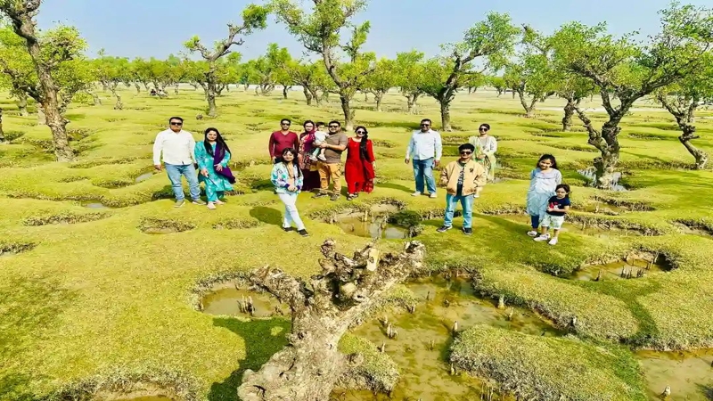 নিদ্রা সমুদ্র সৈকত ও নিদ্রা চড়: বরগুনার তালতলীর লুকায়িত সৌন্দর্য