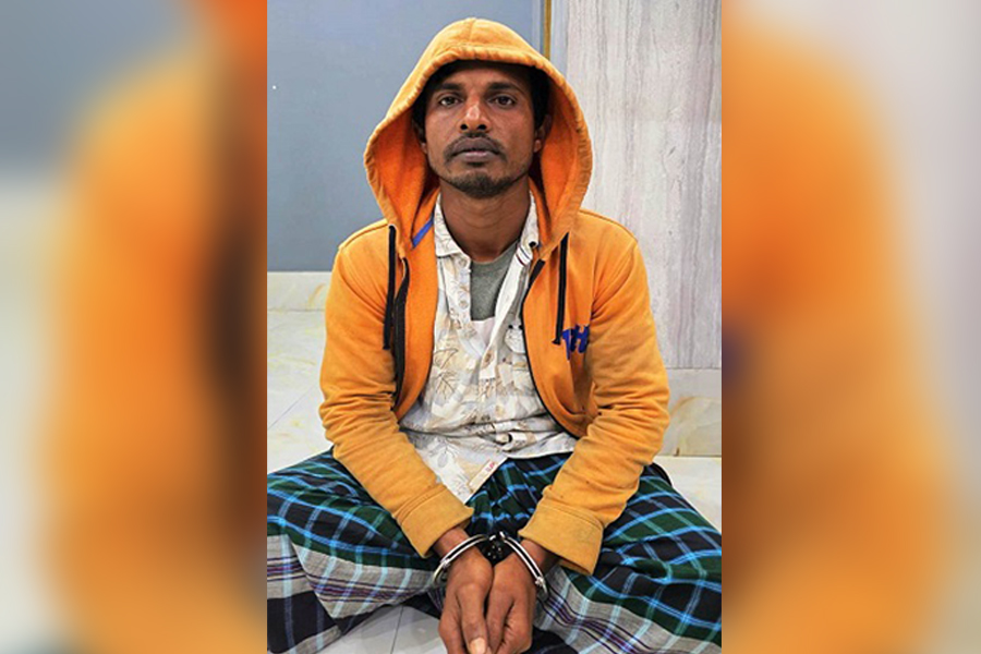 মাদারীপুরে অতিথি পাখি হত্যার দায়ে যুবকের কারাদণ্ড