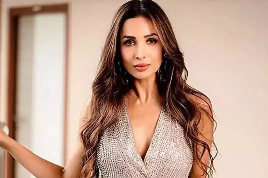 সমালোচনার জবাবে মালাইকা: ‘নাচ আমাকে শান্তি দেয়’