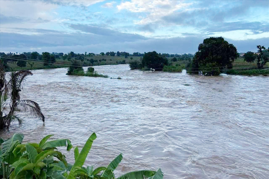 নাইজারে ভয়াবহ বন্যায় নিহত ৪৭