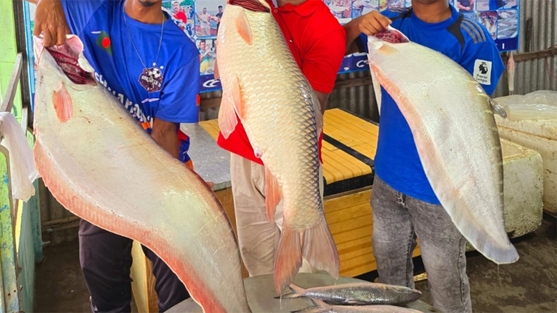 পদ্মার ১ রুই-২ চিতল বিক্রি ৮৯ হাজার টাকায়