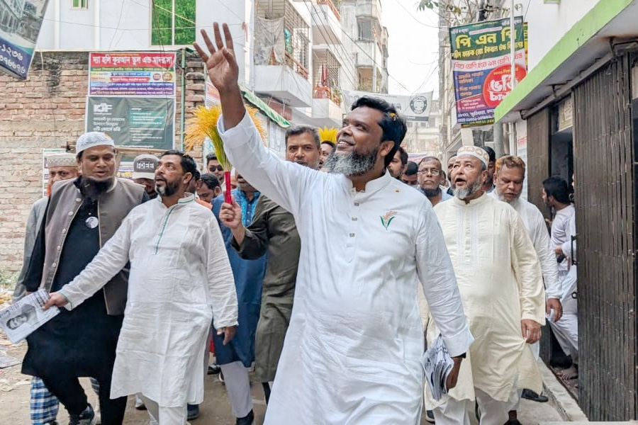 উন্নয়ন ও সার্বভৌমত্বের প্রশ্নে ধানের শীষের বিকল্প নাই: রবিন