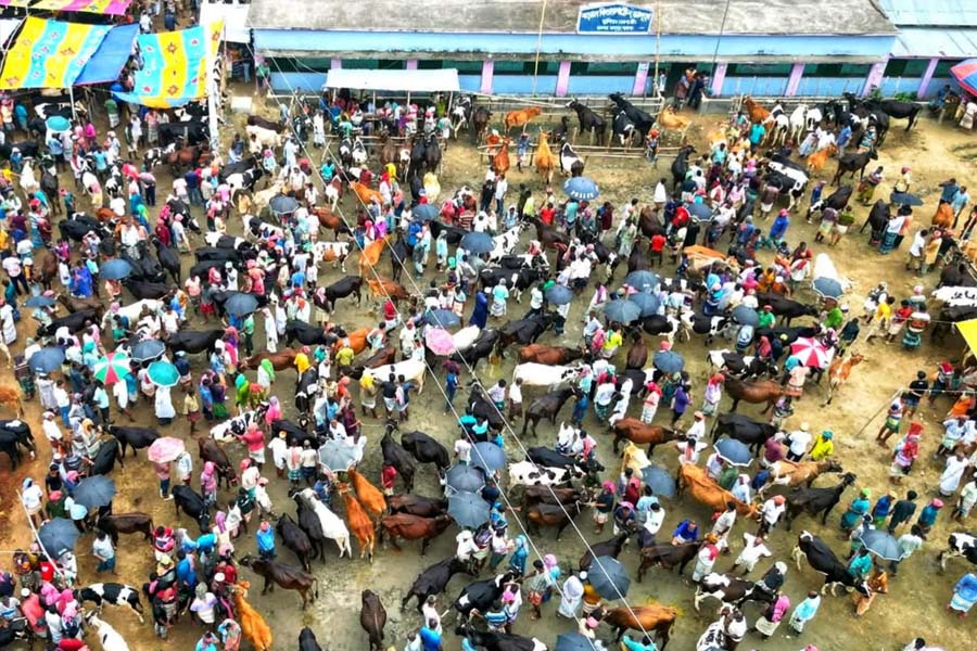 ভাঙ্গুড়ার শরৎনগর হাটের টোল রেট পুনঃনির্ধারণের দাবি
