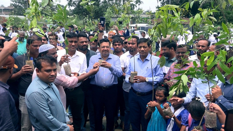 পাবনায় গাছের চারা বিতরণ করলেন শিমুল বিশ্বাস