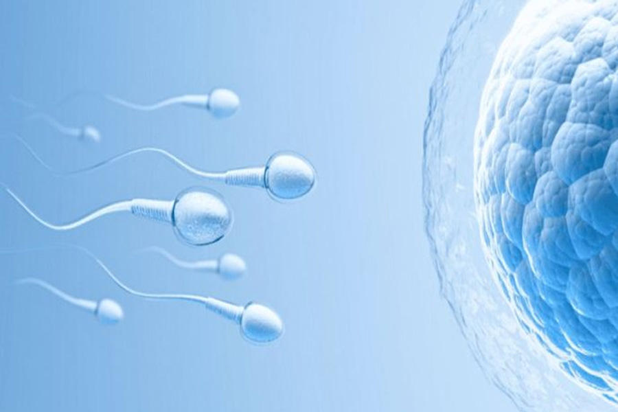 ৪৩ বছর বয়সে কমতে শুরু করে পুরুষদের শুক্রাণুর গুণমান