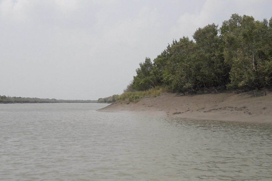 সুন্দরবন সাতক্ষীরা রেঞ্জ পর্যটকশূন্য, রাজস্ব আদায়ে ধস