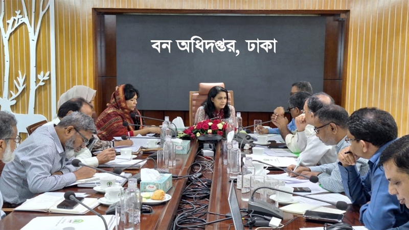 বনভূমি ২০% উন্নীত করতে সুপরিকল্পিত কর্মসূচি গ্রহণ: রিজওয়ানা