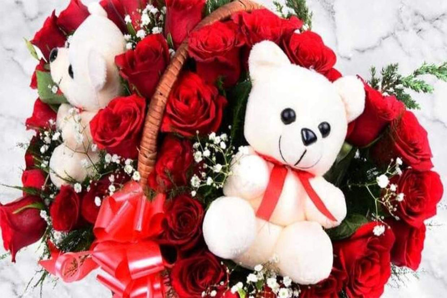 ভ্যালেন্টাইন সপ্তাহে ‘টেডি ডে’: প্রেম-উষ্ণতার প্রতীক টেডি বিয়ার