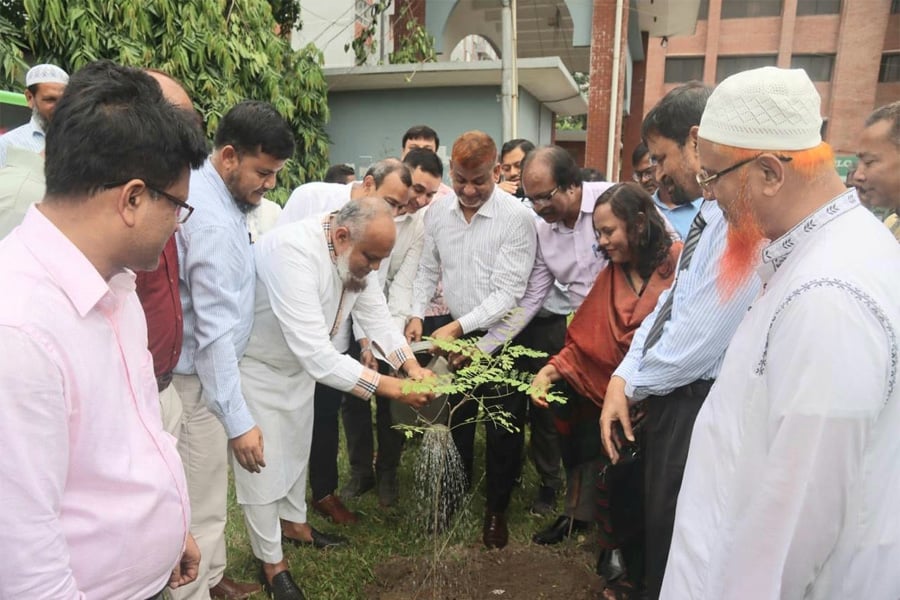 শেকৃবিতে জিয়াউর রহমান ফাউন্ডেশনের উদ্যোগে বৃক্ষরোপণ
